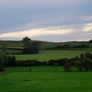 Paysage de prairies limités par des haies d'arbustes - France  - collection de photos clin d'oeil, catégorie paysages